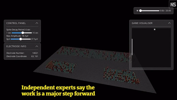 2022年，就連人工培育的腦細胞也會打遊戲了