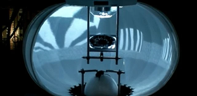 2022年，就連人工培育的腦細胞也會打遊戲了