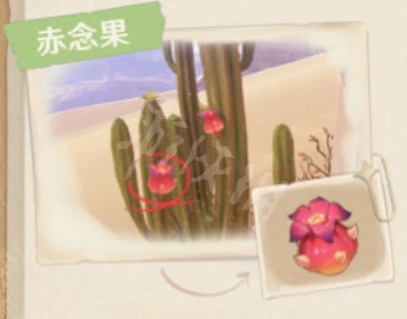 《原神》3.1沙漠有哪些生物和特產？3.1沙漠生物和特產介紹