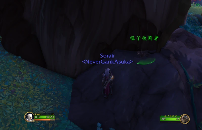 魔獸世界栗子寵物怎麼抓