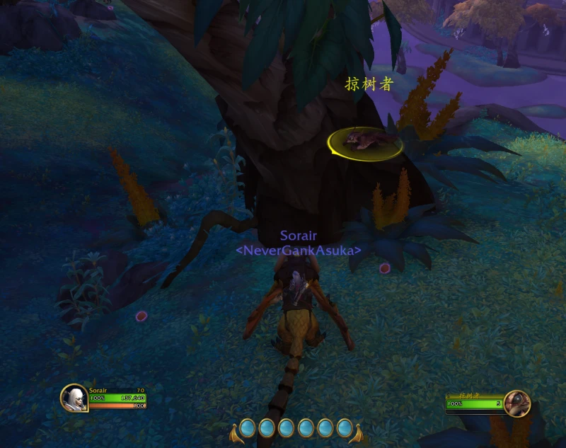 魔獸世界栗子寵物怎麼抓