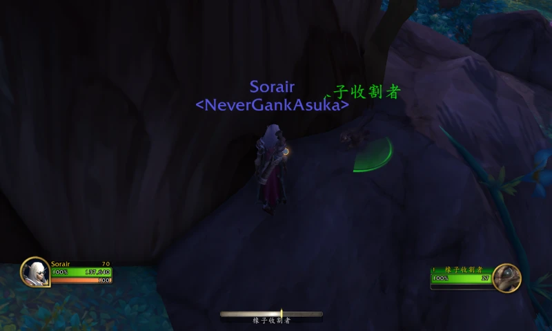 魔獸世界栗子寵物怎麼抓