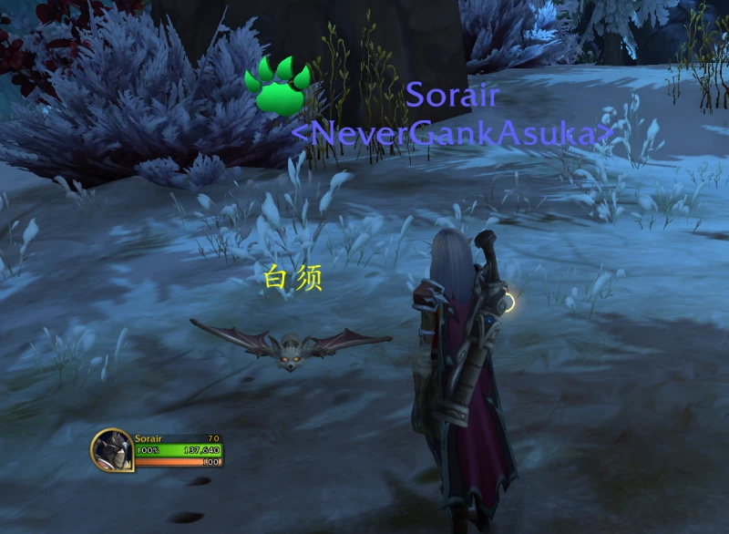 魔獸世界白須寵物怎麼獲得