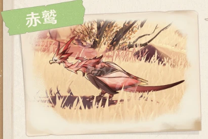 《原神》3.1大赤沙海新生物有哪些？3.1須彌大赤沙海新生物一覽