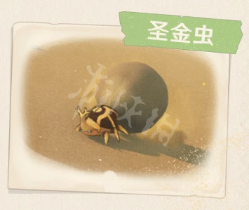 《原神》3.1大赤沙海新生物有哪些？3.1須彌大赤沙海新生物一覽