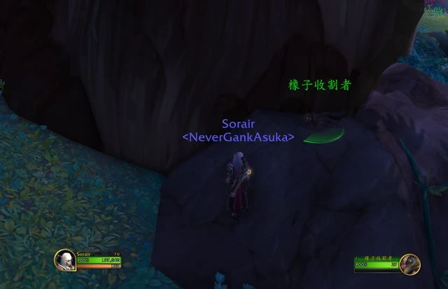 魔獸世界巨龍時代：白須和栗子的獲取攻略