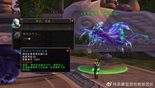 送給近期升級的小號 WLK懷舊服滿級後小貼士