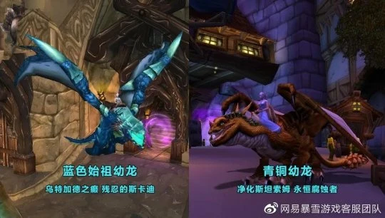 送給近期升級的小號 WLK懷舊服滿級後小貼士