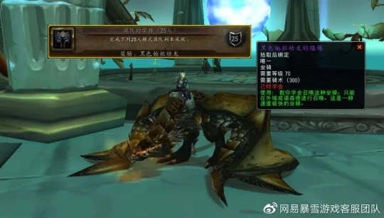 送給近期升級的小號 WLK懷舊服滿級後小貼士