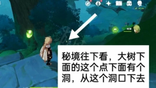 《原神》夢境林莽的屏障怎麼過？夢境林莽的屏障過法介紹