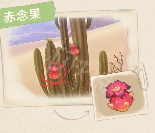 《原神》3.1大赤沙海新特產有哪些？3.1大赤沙海新特產介紹
