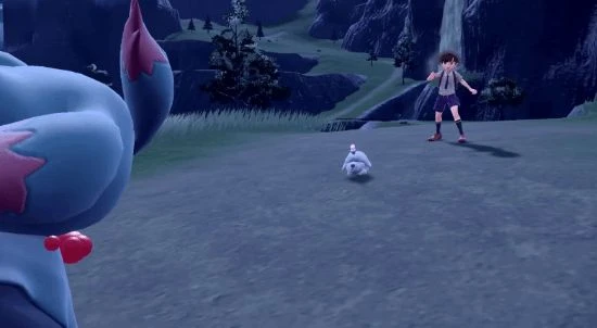 《朱紫》新寶可夢墓仔狗介紹：親近人類但吸食精氣