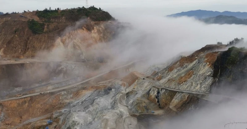 森林研究院十年計劃　霹靂前礦區重新造林