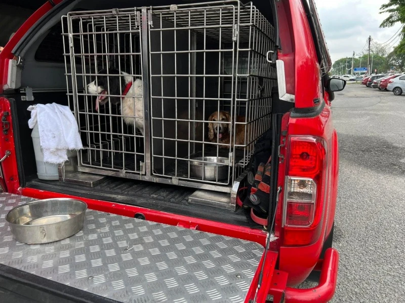 米都卡拉OK火災釀3死案　還沒找到起火原因