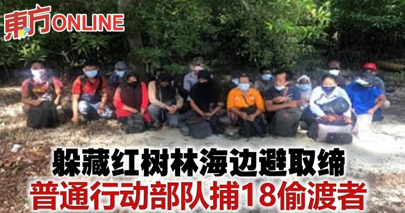 躲藏紅樹林海邊避取締　普通行動部隊捕18偷渡者
