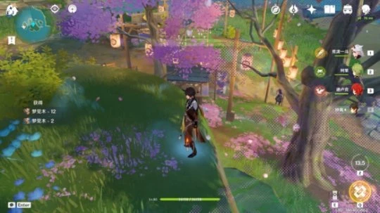 《原神》夢見木採集點在哪？夢見木最快採集位置推薦