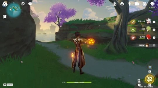 《原神》夢見木採集點在哪？夢見木最快採集位置推薦