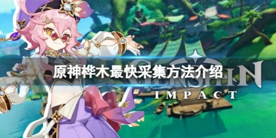 《原神》樺木哪裡多？樺木最快採集方法介紹