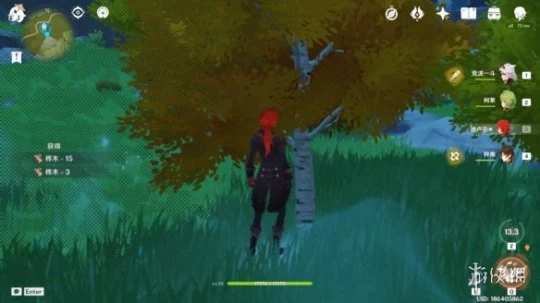 《原神》樺木哪裡多？樺木最快採集方法介紹