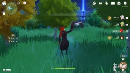 《原神》樺木哪裡多？樺木最快採集方法介紹