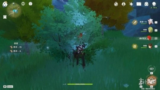 《原神》樺木哪裡多？樺木最快採集方法介紹