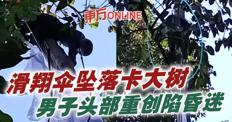 滑翔傘墜落卡大樹　男子頭部重創陷昏迷