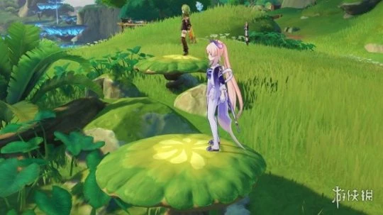 《原神》須彌雙人寶箱位置在哪？須彌雙人寶箱位置分享