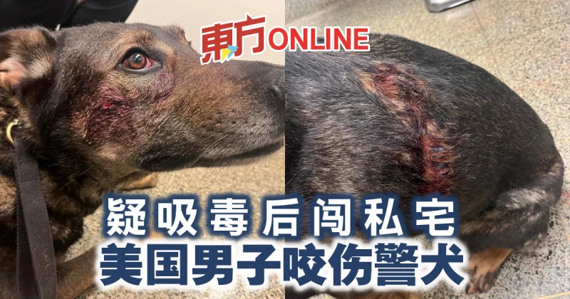 疑吸毒後闖私宅　美國男子咬傷警犬