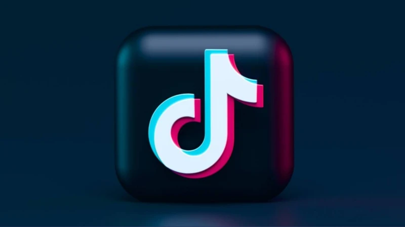 【大馬選舉】各政黨搶攻年輕選民  TikTok成新戰場