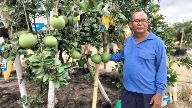 【採訪手記 | 陳嘉羚】一杯飲 三分情
