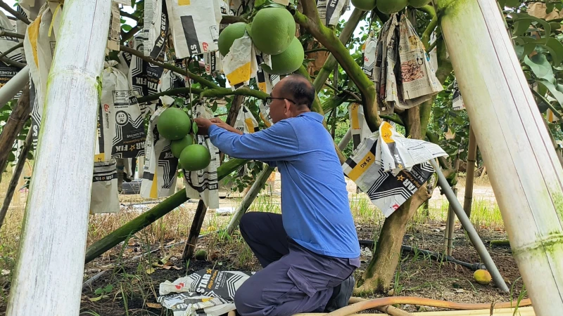 【採訪手記 | 陳嘉羚】一杯飲 三分情