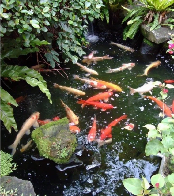 瓊瑤高顏值孫女曝光　逾3億豪宅「可園」清拆前大公開