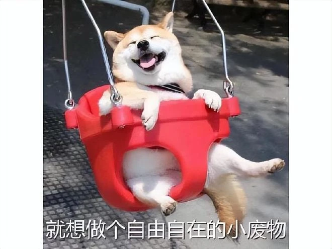 和老爸一起玩遊戲，女玩家練級被人追殺，暴怒父親全服圍剿敵人