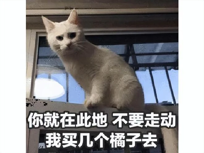 欺負女玩家的後果，為搶地盤追殺妹子，被殺到解散公會