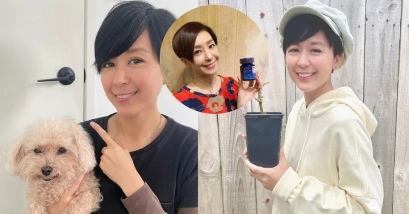 40歲唐寧「最強童顏」失守？　曬照被指撞臉53歲伍詠薇