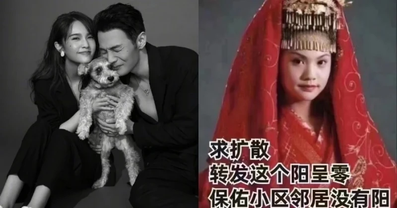 與老公李榮浩捐物資　楊丞琳變抗疫梗圖：轉發就陽呈零