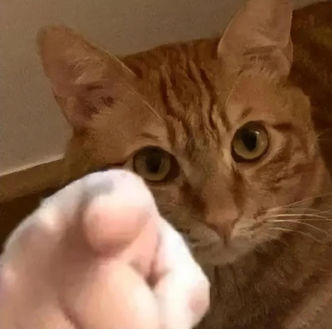 最像的MMO？當初靠抄魔獸起家，現在又靠魔獸停服瘋狂撈人？