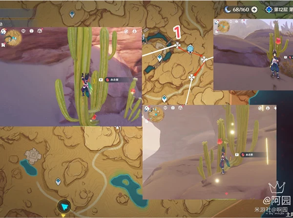 原神赤念果採集路線