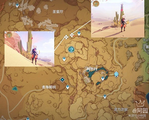 原神赤念果採集路線