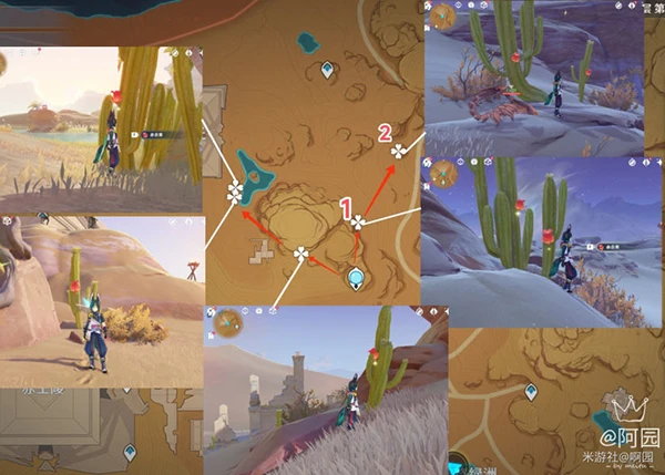 原神赤念果採集路線