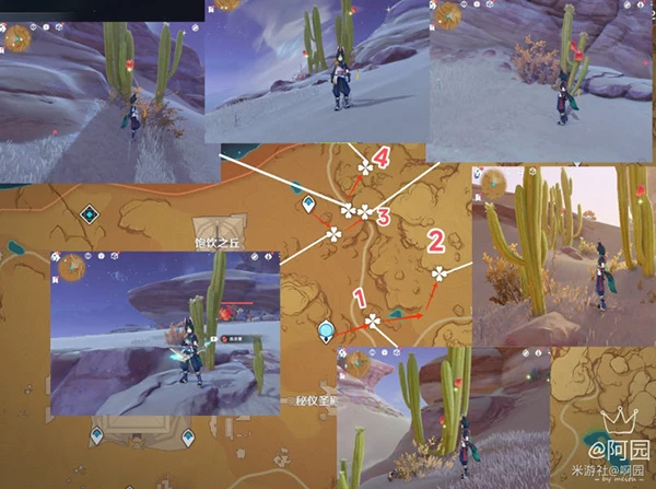 原神赤念果採集路線