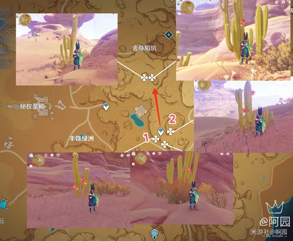 原神赤念果採集路線