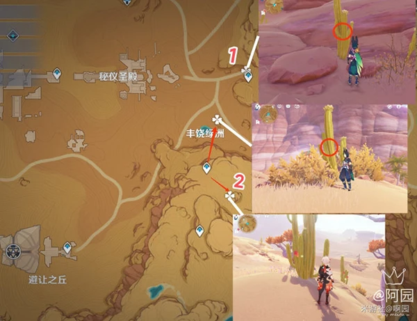 原神赤念果採集路線