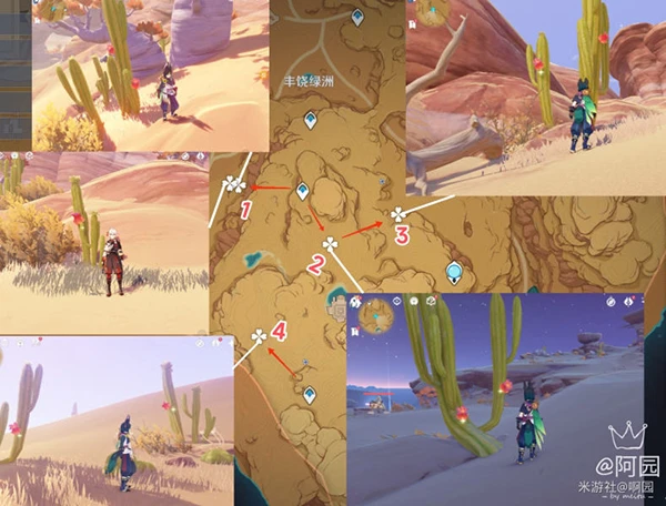 原神赤念果採集路線