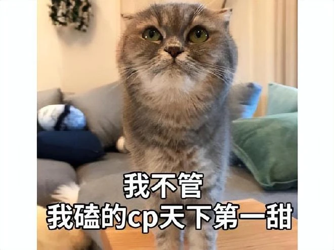 暴雪抄的好？把《激戰2》的核心玩法炒過來了，玩家：國服就沒了