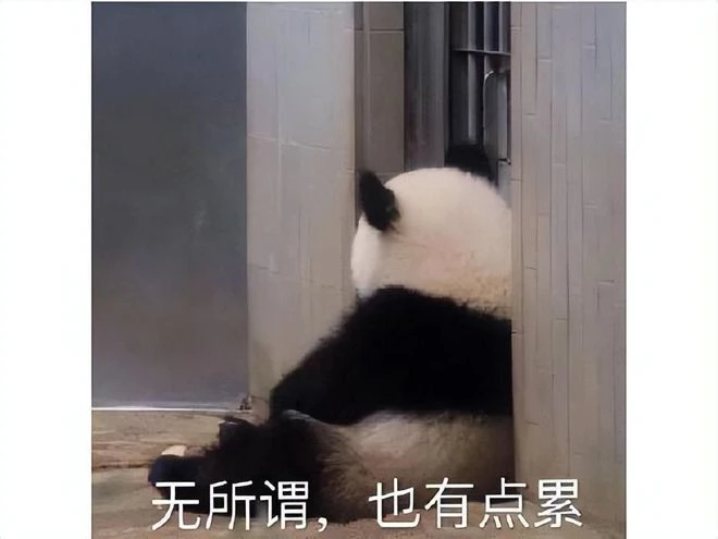 國服魔獸最後一次更新，玩家少了三分一？多數玩家覺得上班要緊