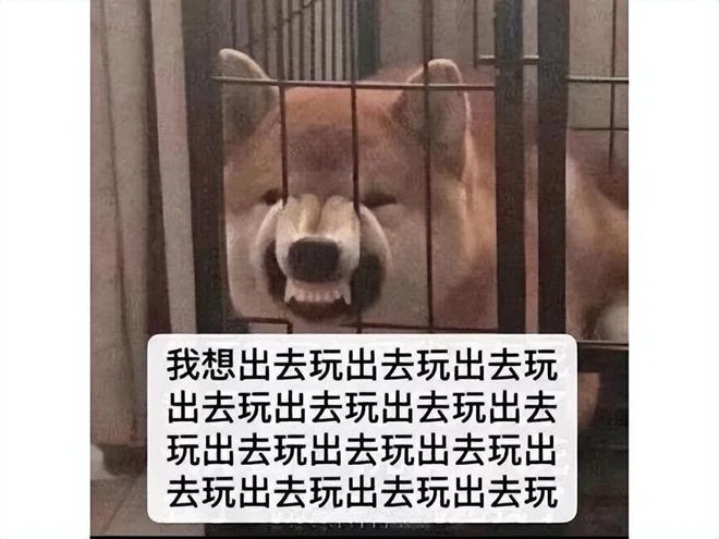 《路尼亞戰記Z》：停運十年正式復活，可惜了前期的爽感遊戲