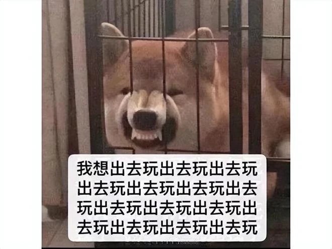 停運十年正式復活！累計500萬玩家的DNF挑戰者，在韓國復活了