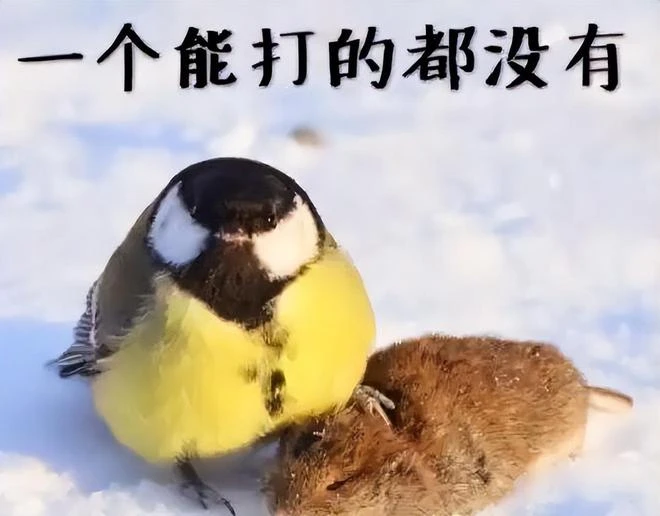 熱血傳奇：第一個同時得到天龍聖衣的氪金大佬，無數玩家為他瞻仰