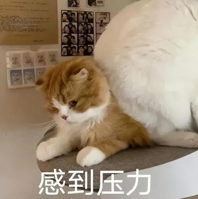 劍網3、DNF年末重磅大餅！魔獸關閉充值，部分玩家被迫提前停服？